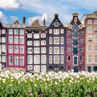 Amsterdam architecture over the tulips.